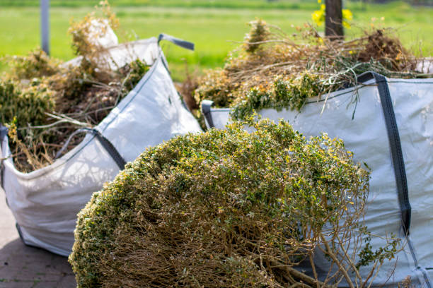 Best Electronics Removal Services  in Montezuma, GA